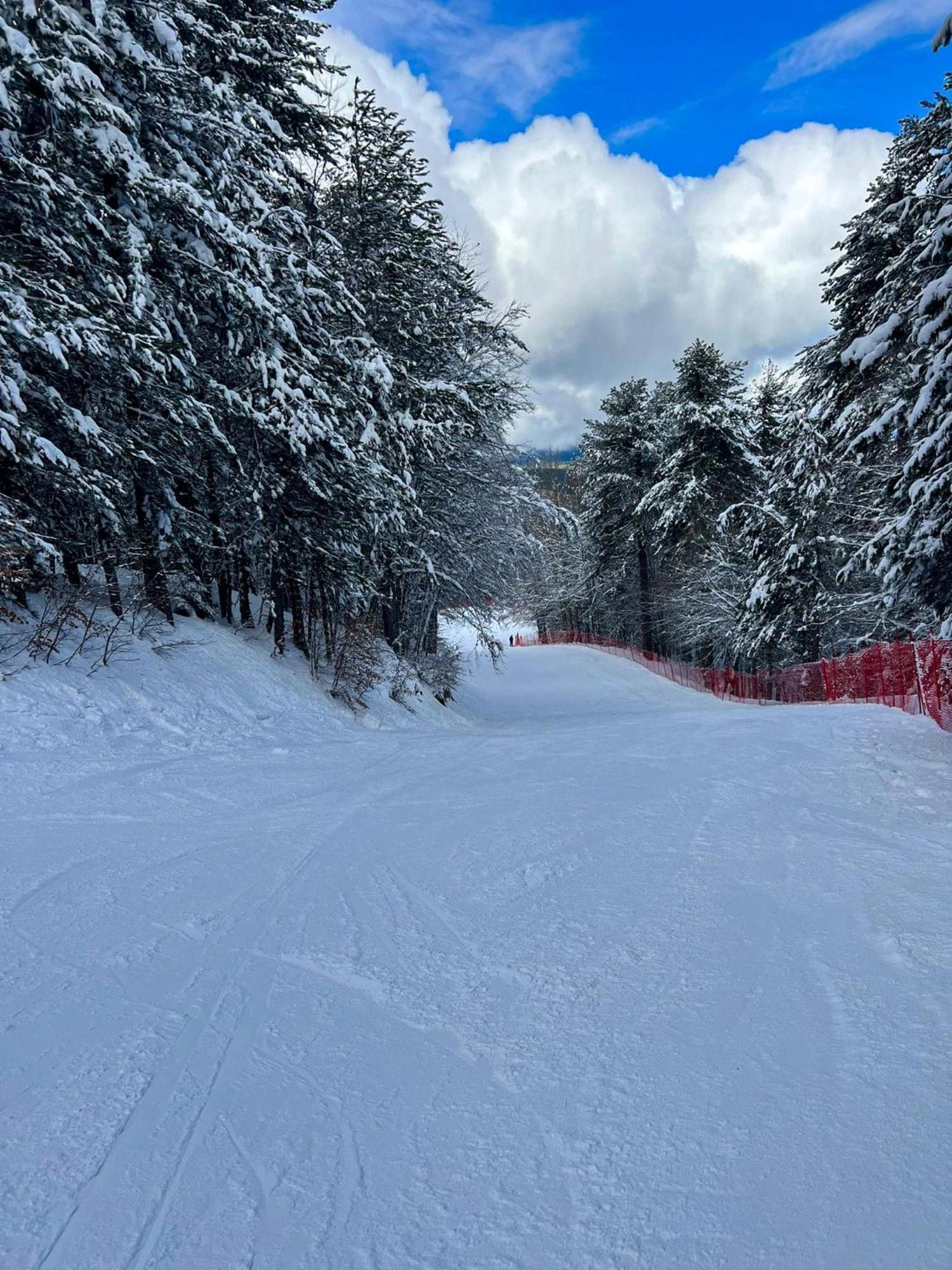 Hotel Camigliatello Camigliatello Silano Dış mekan fotoğraf
